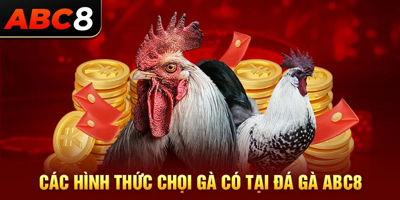 Các loại hình chọi gà có tại đá gà ABC8