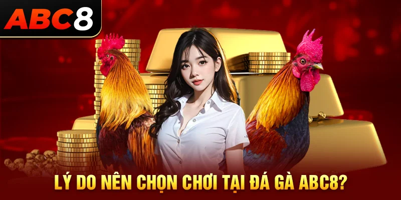 Tại sao nên chọn đá gà ABC8 để trải nghiệm?