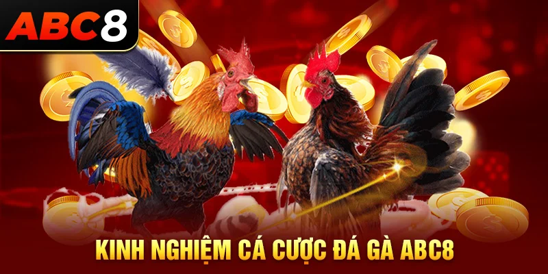 Bí quyết cược hiệu quả tại đá gà ABC8